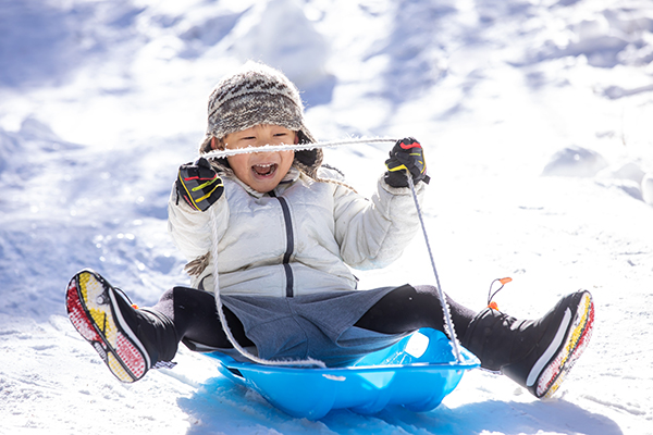 そりレンタル イメージ